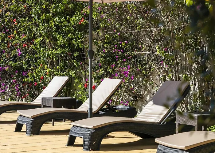 펜션 The Palm House