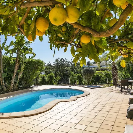 The Palm House Carvoeiro (Lagoa)