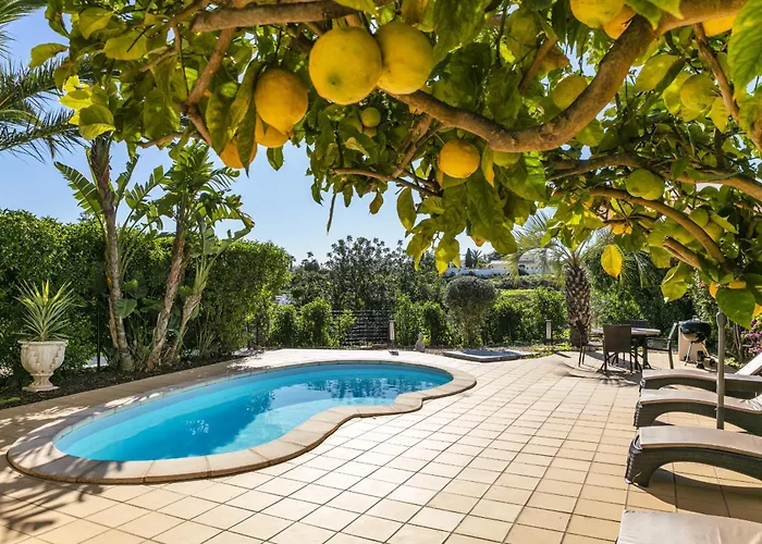 The Palm House Carvoeiro (Lagoa)