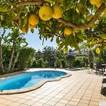 The Palm House Carvoeiro (Lagoa)